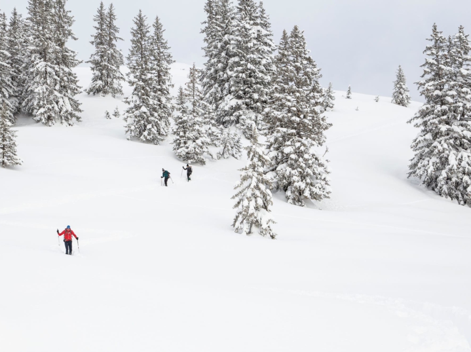 Kleinwalsertal Sneeuwschoenwandelen