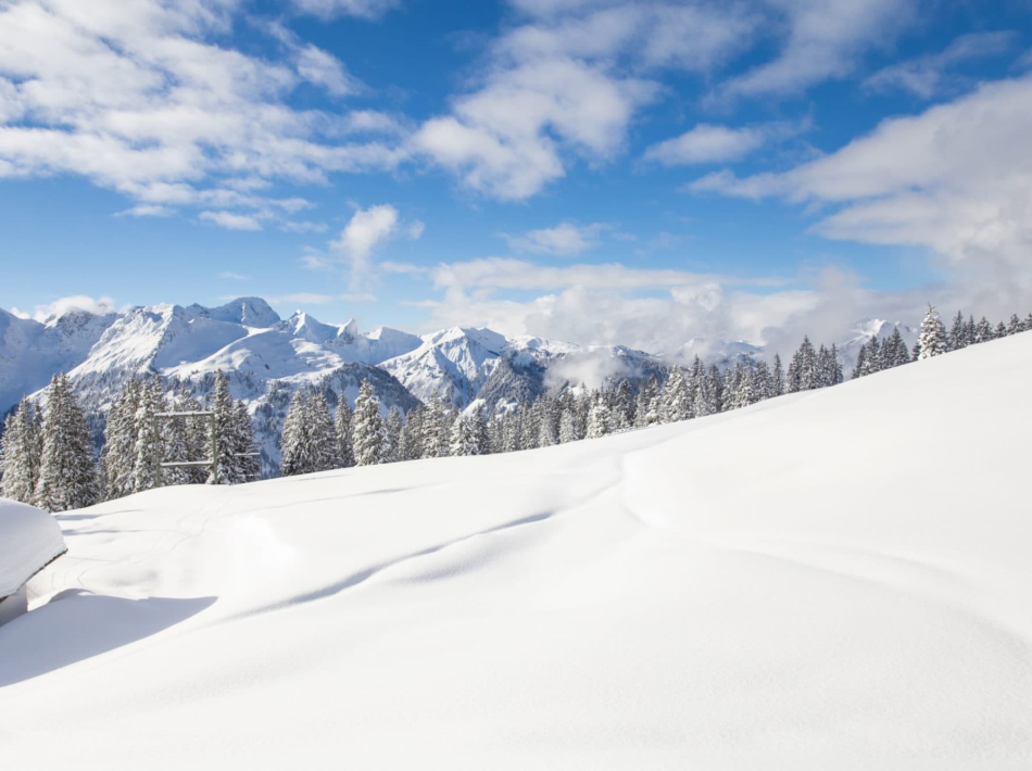 Kleinwalsertal Sneeuwschoenwandelen