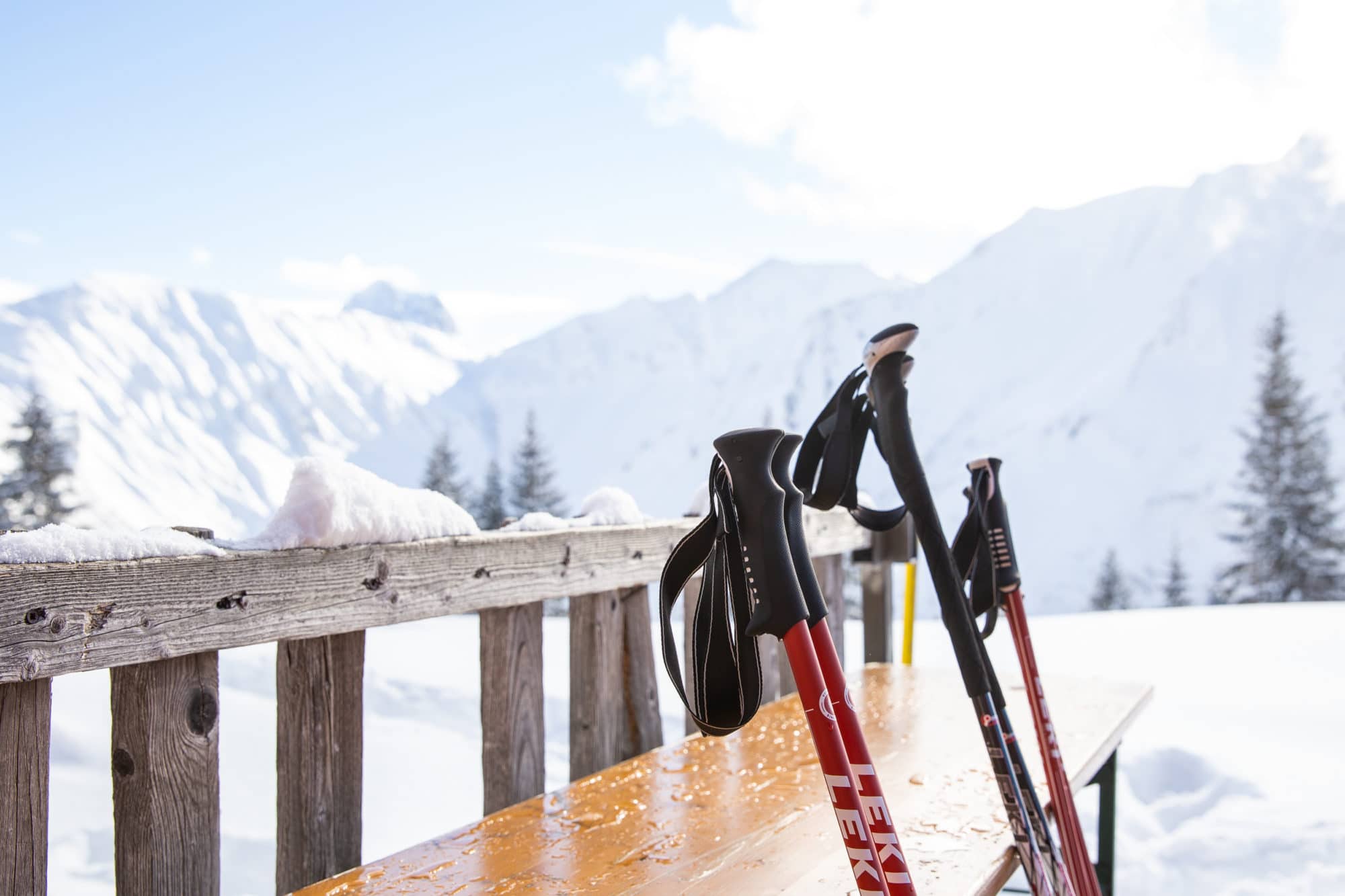 Wandelen met wandelstokken, hoe lopen met wandelstokken?