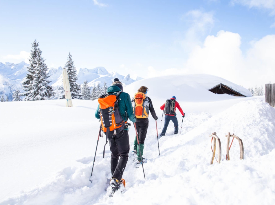 Kleinwalsertal Sneeuwschoenwandelen