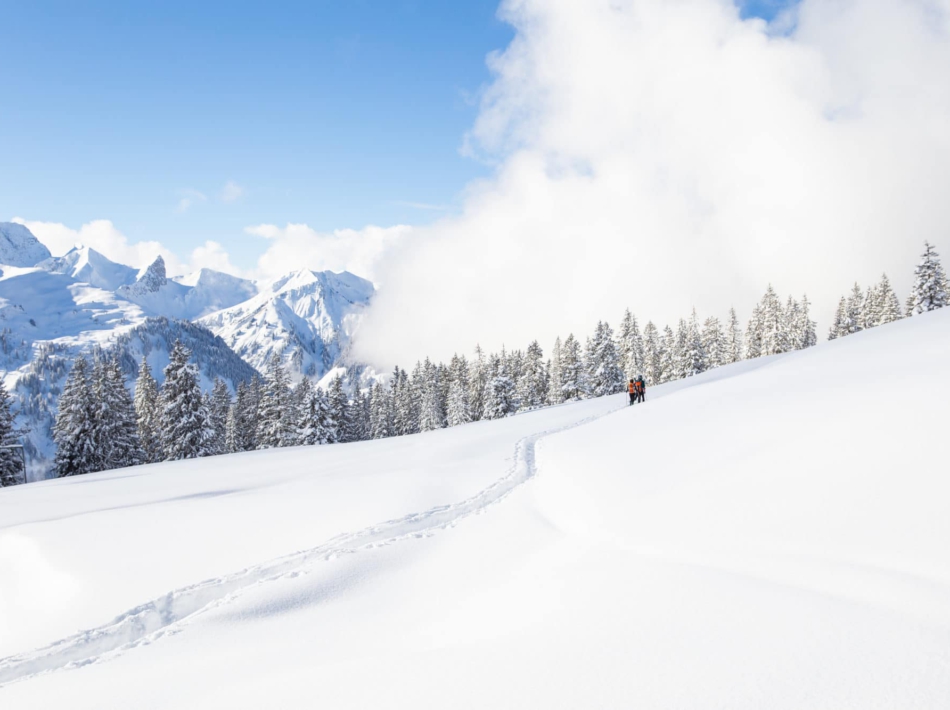 Kleinwalsertal Sneeuwschoenwandelen