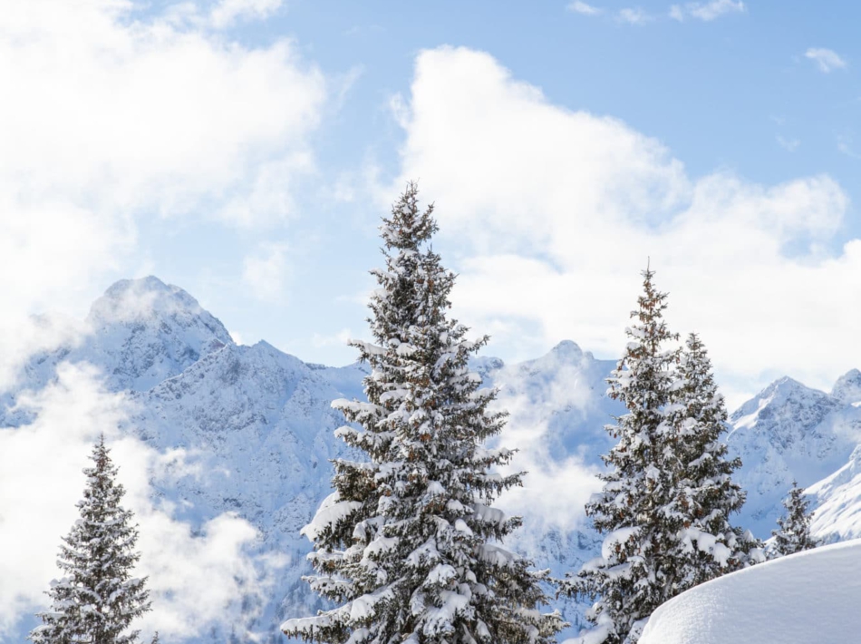 Kleinwalsertal Sneeuwschoenwandelen