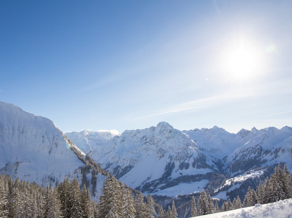 Kleinwalsertal Sneeuwschoenwandelen