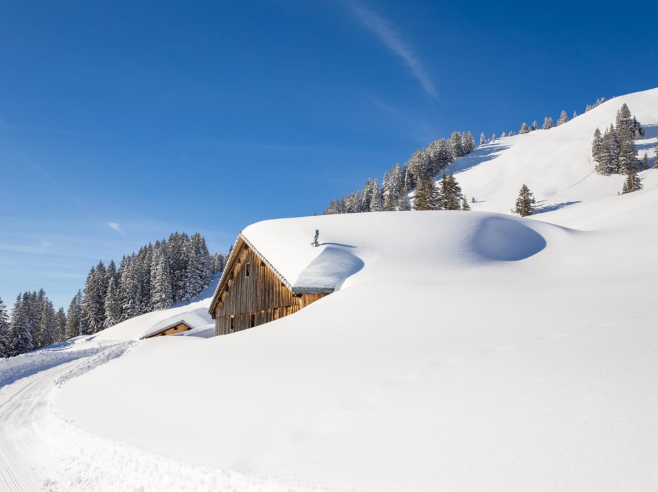 Kleinwalsertal Sneeuwschoenwandelen