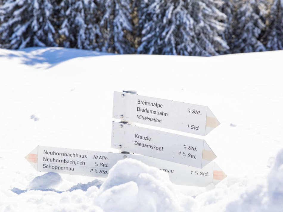 Kleinwalsertal Sneeuwschoenwandelen