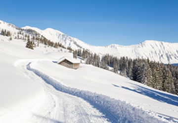 Sneeuwschoenwandelreis Kleinwalsertal