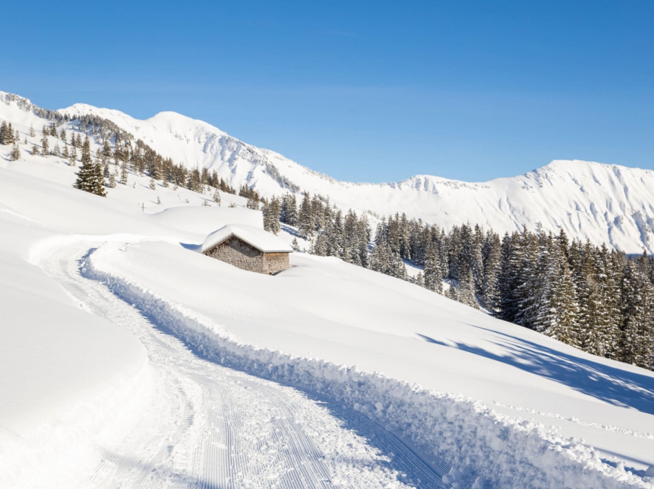 Kleinwalsertal Sneeuwschoenwandelen