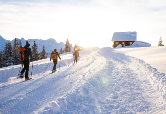 Sneeuwschoenwandelreizen