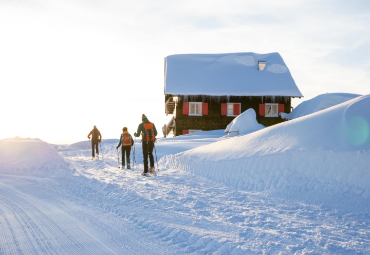 Sneeuwschoenwandelreis, Kleinwalsertal