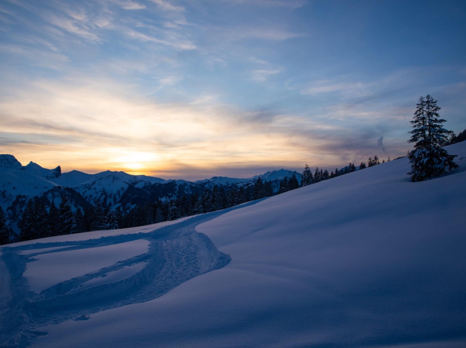 Kleinwalsertal Sneeuwschoenwandelen