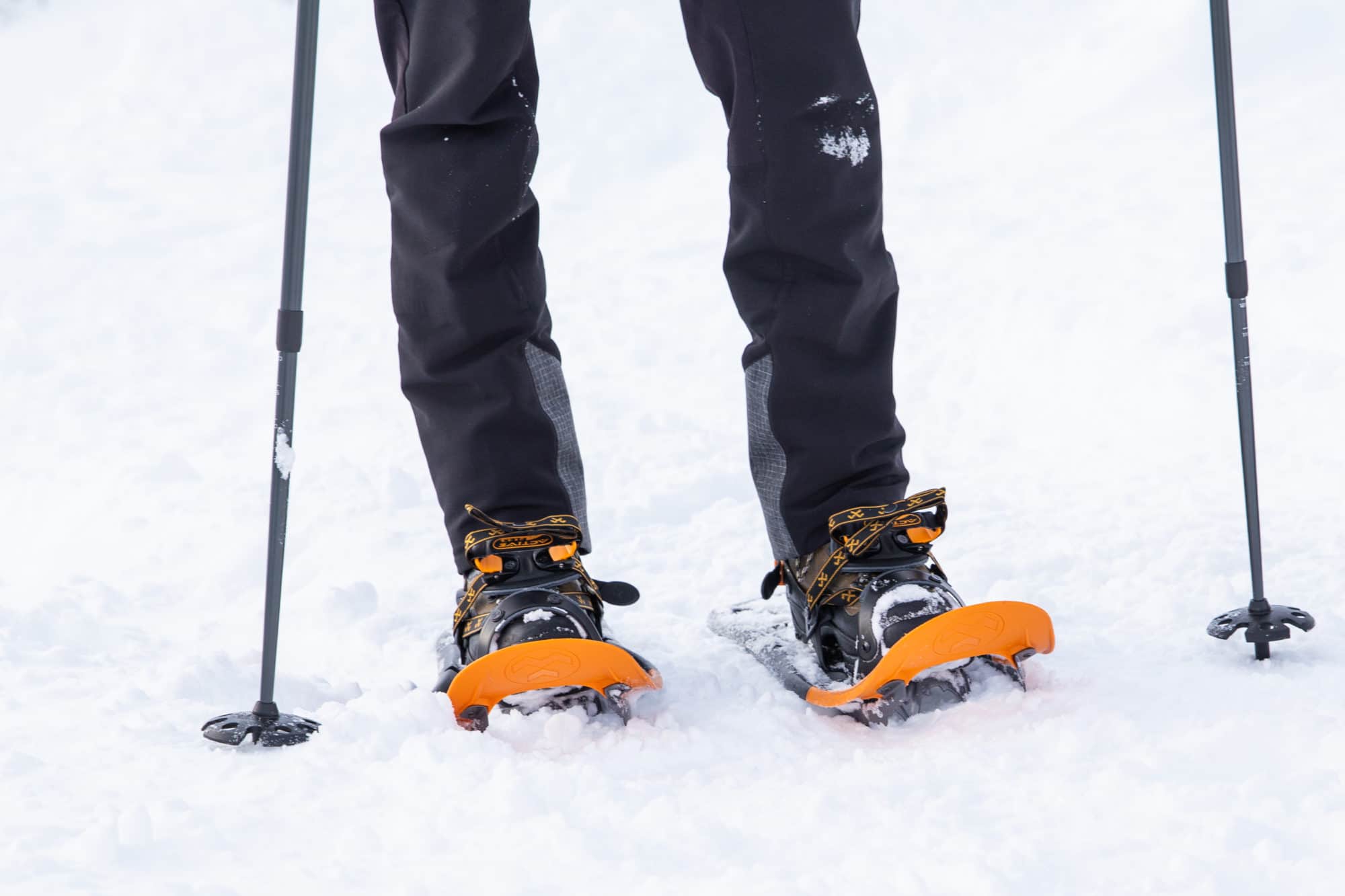 Wandelstokken voor in de sneeuw