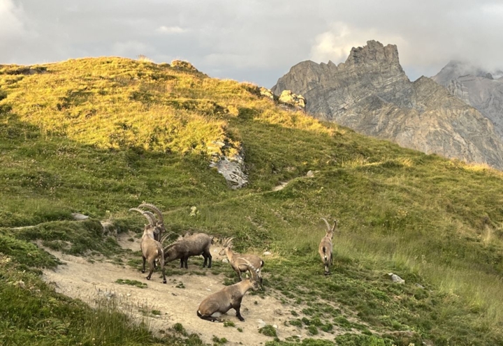 Huttentocht in het vergeten deel van de Westelijke Berner Alpen