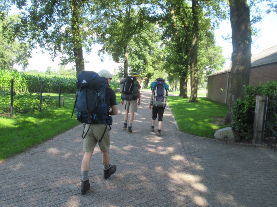 bergwandelen trainen