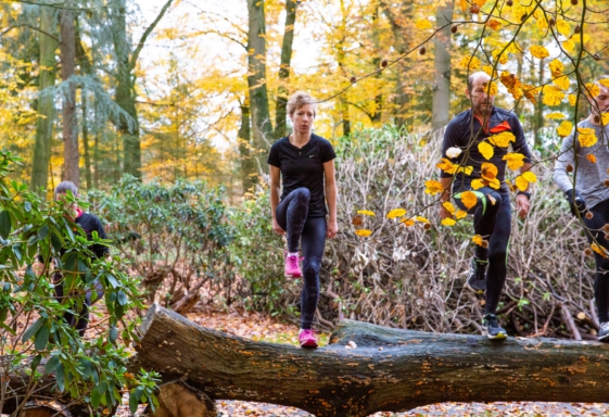 Bergwandeltrainingen
