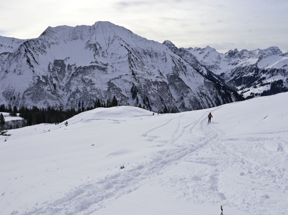 Bregenzerwald sneeuwschoenwandlen