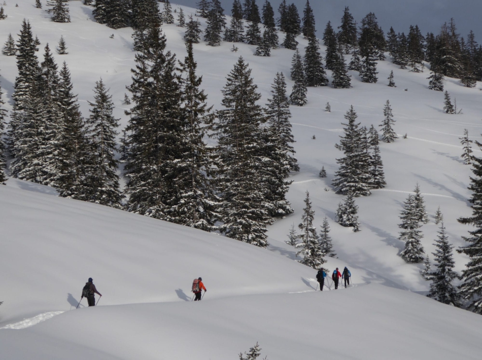 Sneeuwschoenwandelen Kleinwalsertal