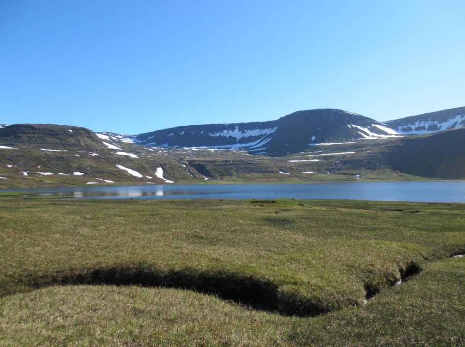 Hornstrandir IJsland
