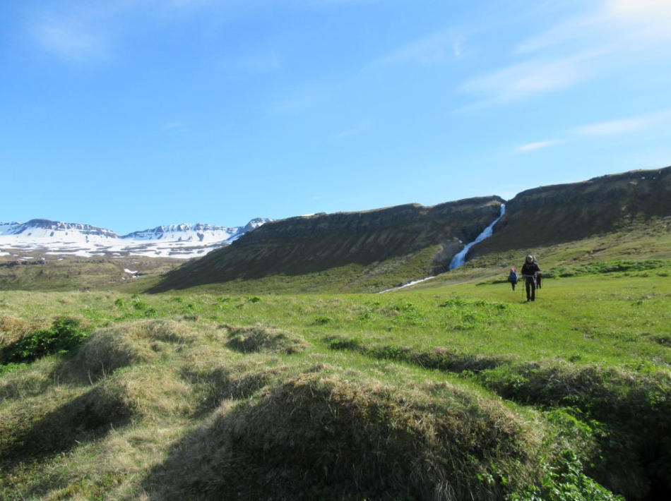 Hornstrandir IJsland