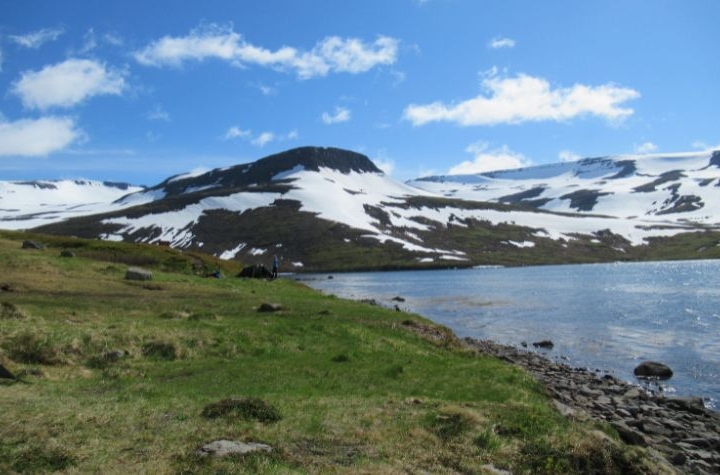 Praktische informatie over de avontuurlijke wandelbestemming Hornstrandir, IJsland
