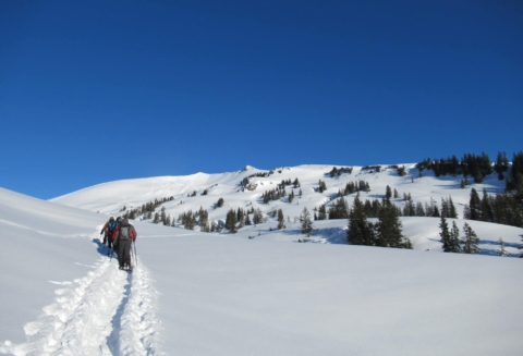 Sneeuwwandelen in de sneeuw