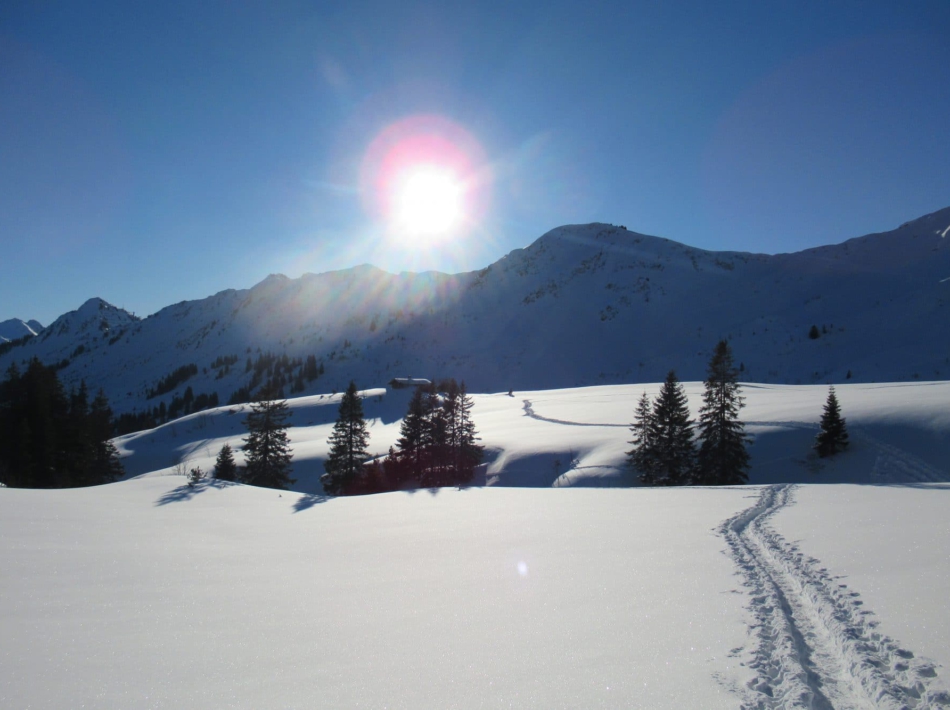 Sneeuwschoenwandelen kleinwalsertal