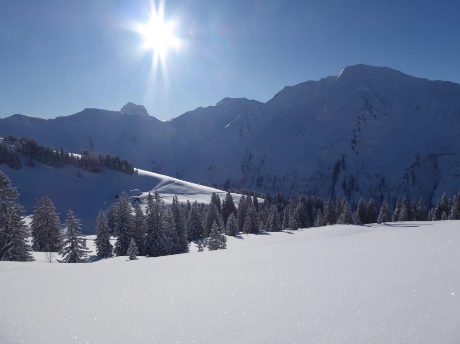 Sneeuwschoenwandelen kleinwalsertal