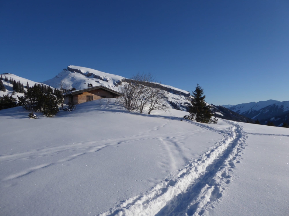 Sneeuwschoenwandelen kleinwalsertal
