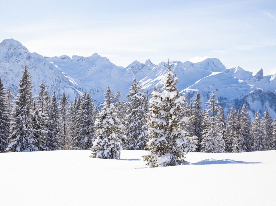 Kleinwalsertal sneeuwschoenwandelen