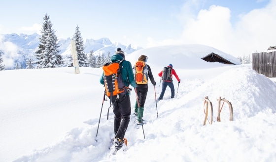 Sneeuwschoenwandel Fit