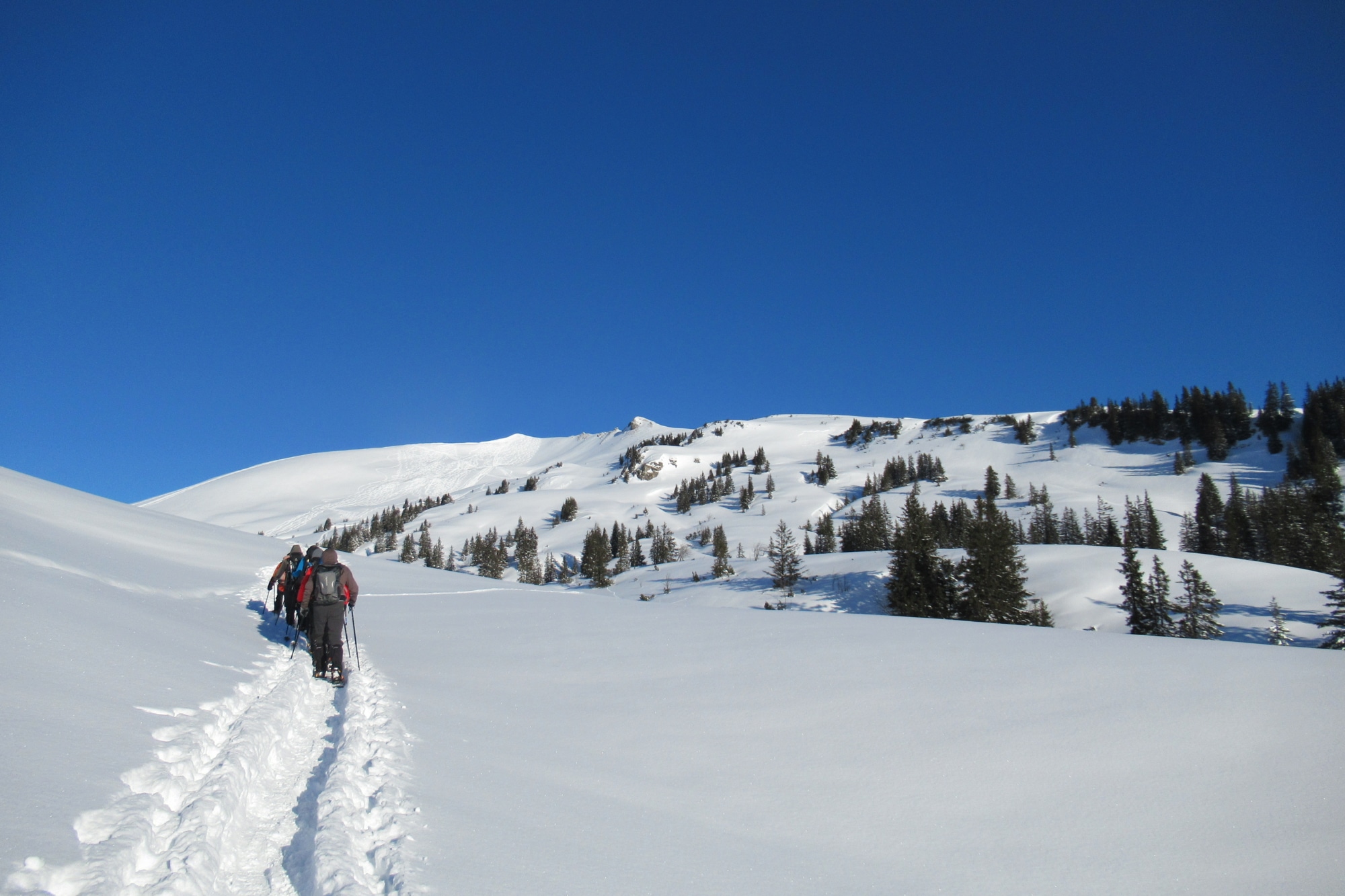Sneeuwschoenwandel kleding