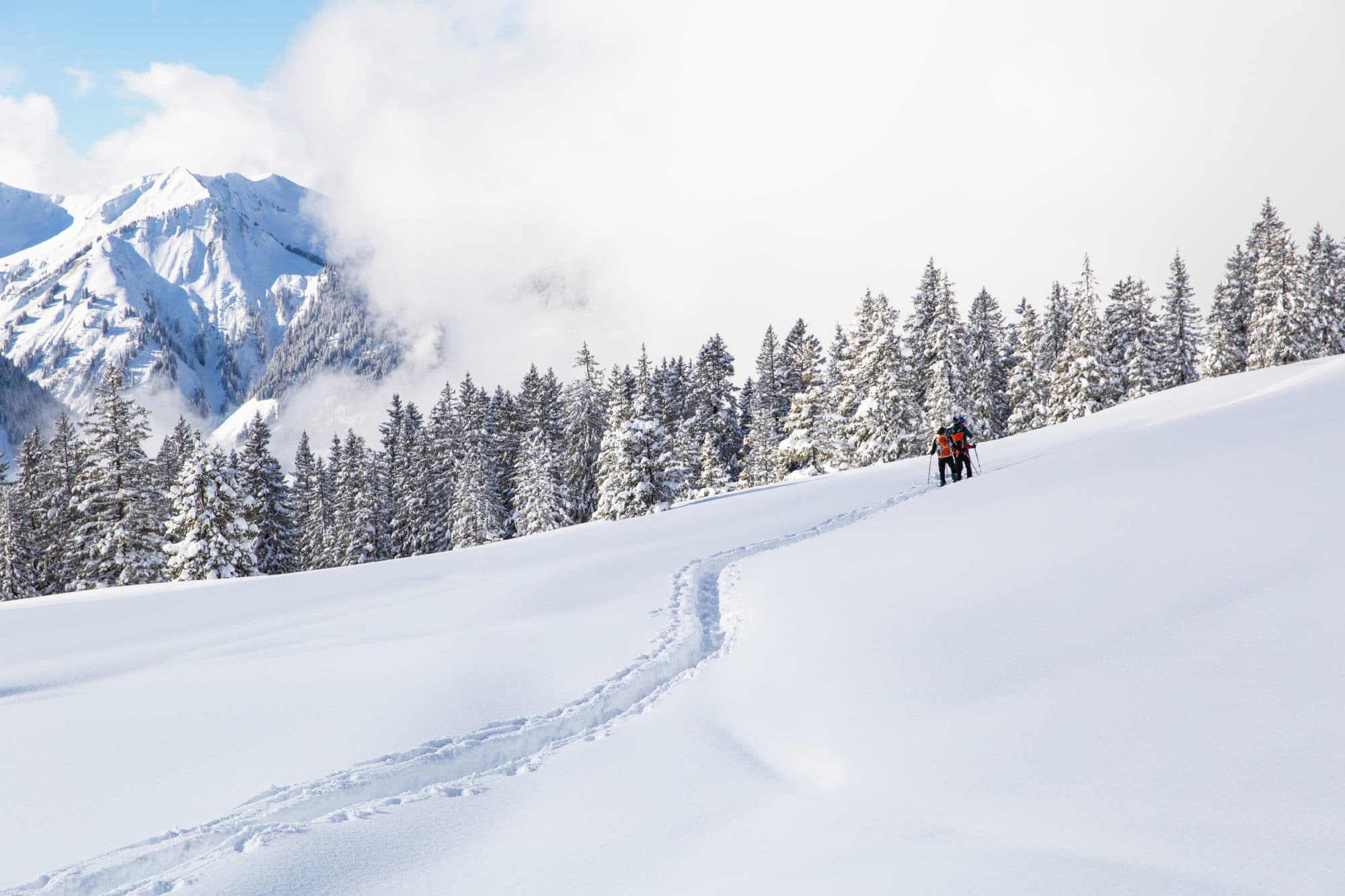 Sneeuwschoentocht groepsreis sneeuwwandelen Oostenrijk
