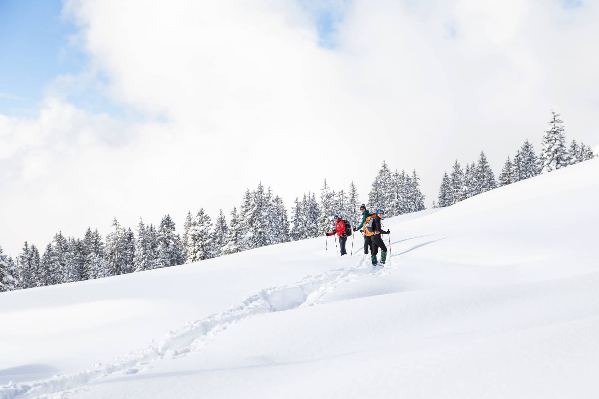 Sneeuwwandelen groepsreis