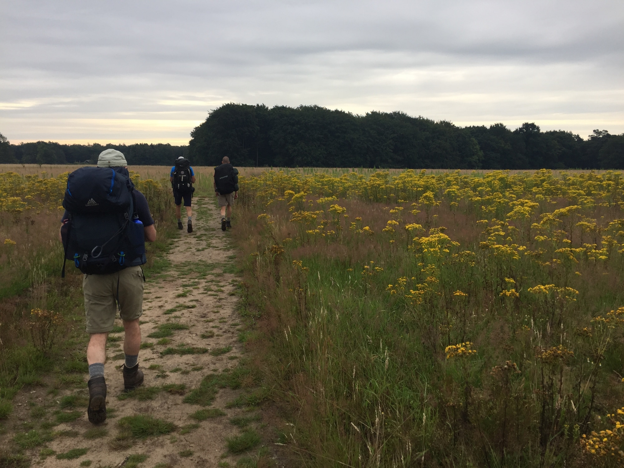Trainen voor bergwandelen met wandelschema