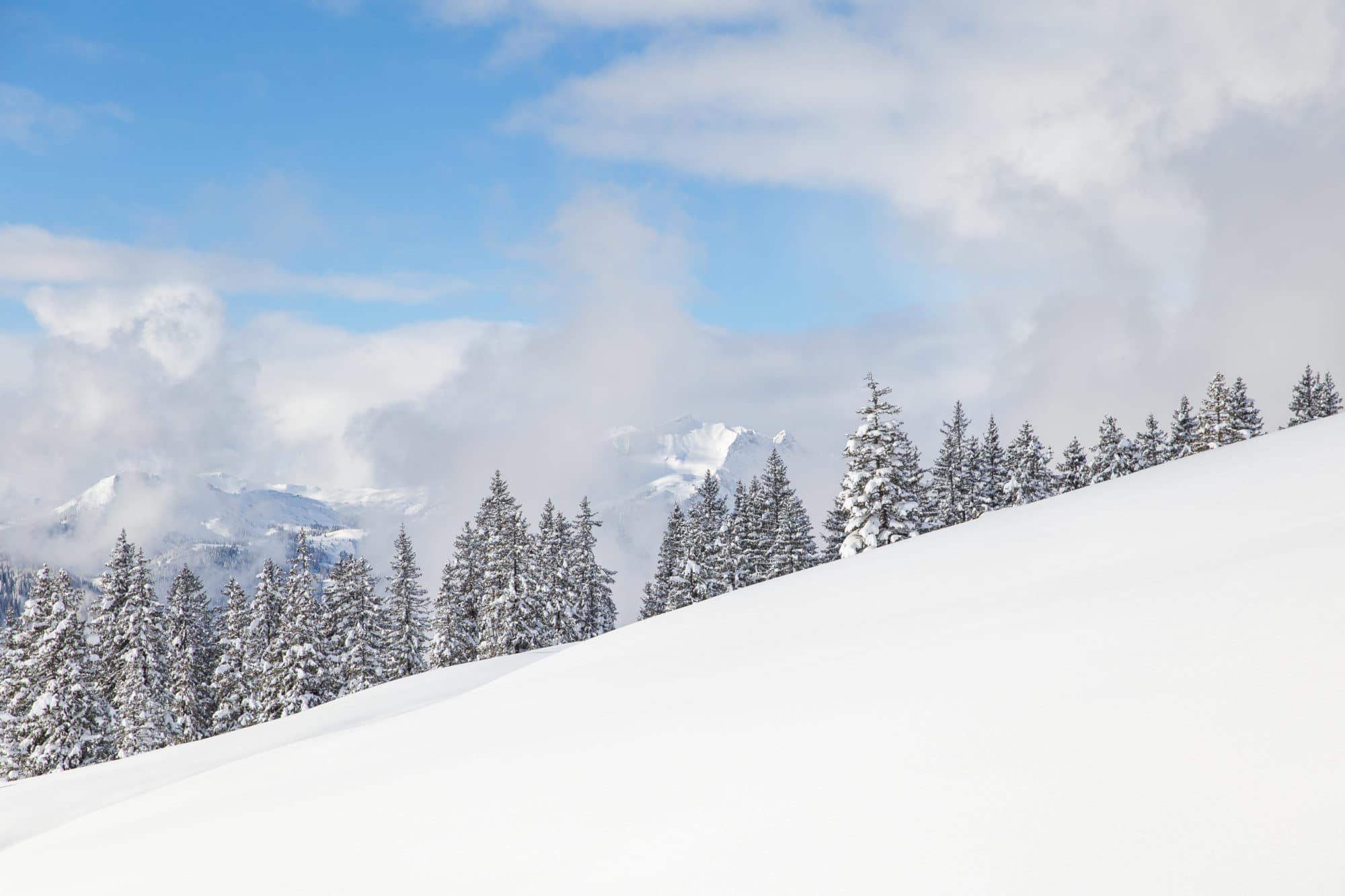 sneeuwschoenwandelreis groep