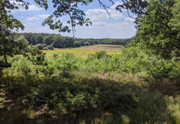 Wandelvakantie Nederland Tent-trekking Twentepad