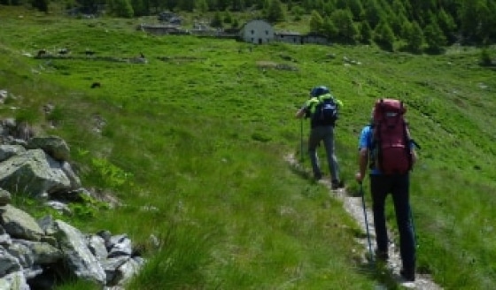 Wandelen met stokken in de bergen: Voordelen, techniek en tips