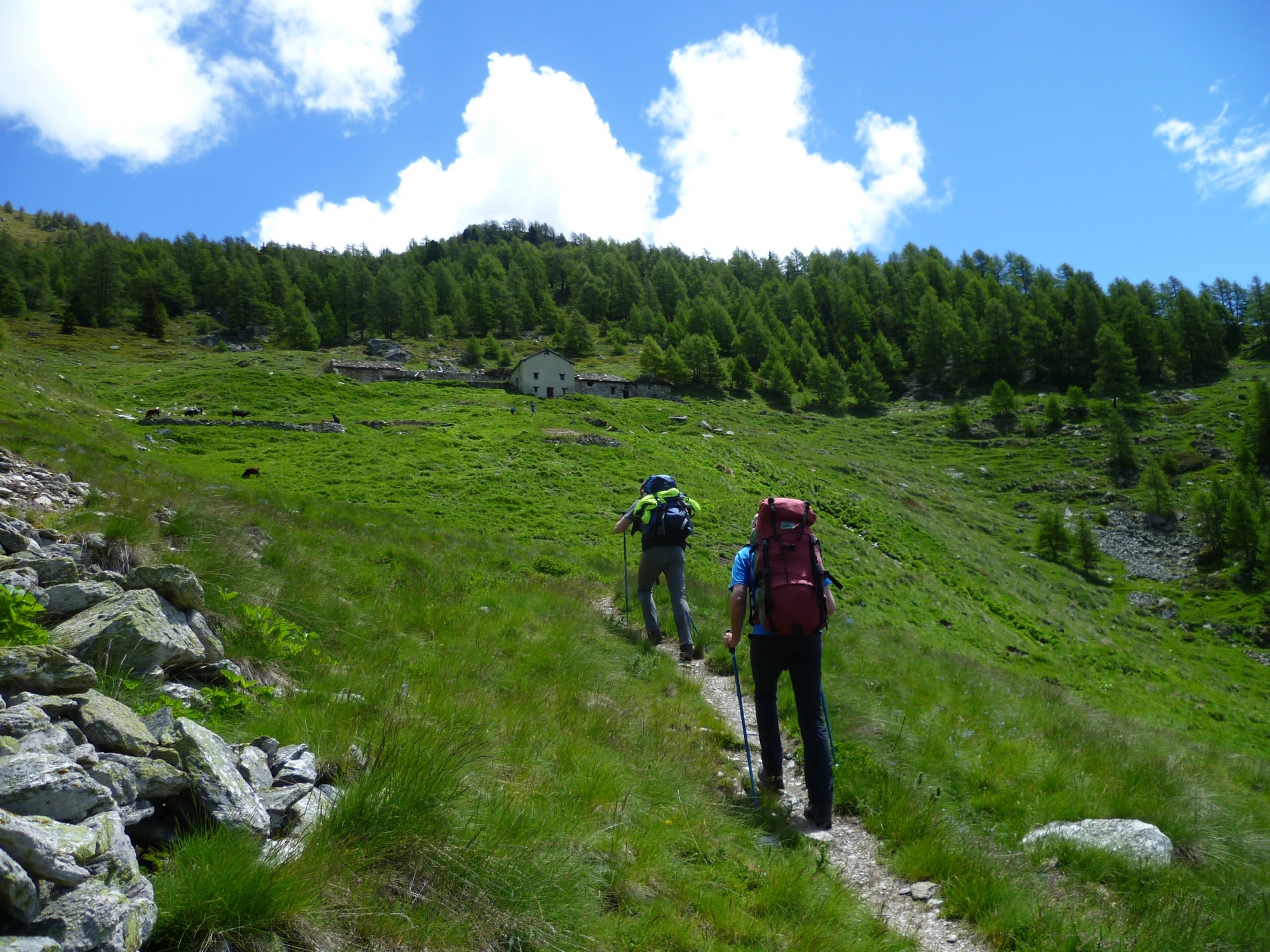 Geleidelijke opbouw wandeltocht