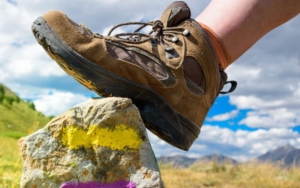 Wandelschoen uit de categorie B op een steen.