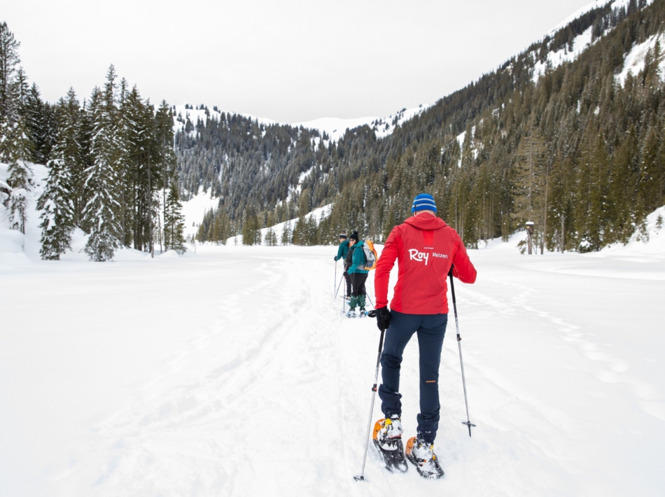 Wandeltechniek sneeuwschoenen