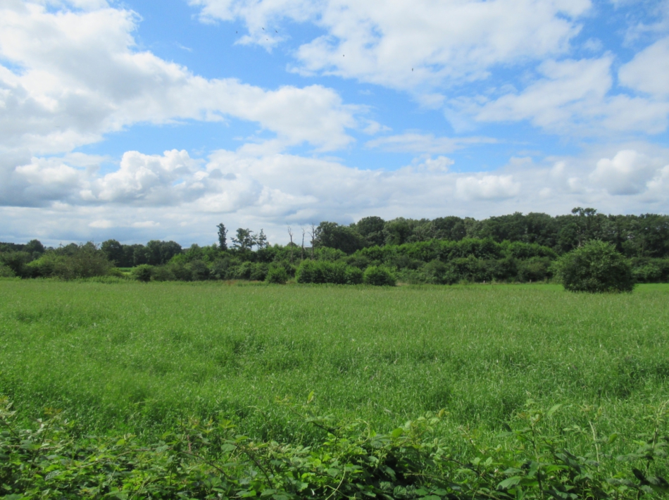 Wandelvakantie Twentepad